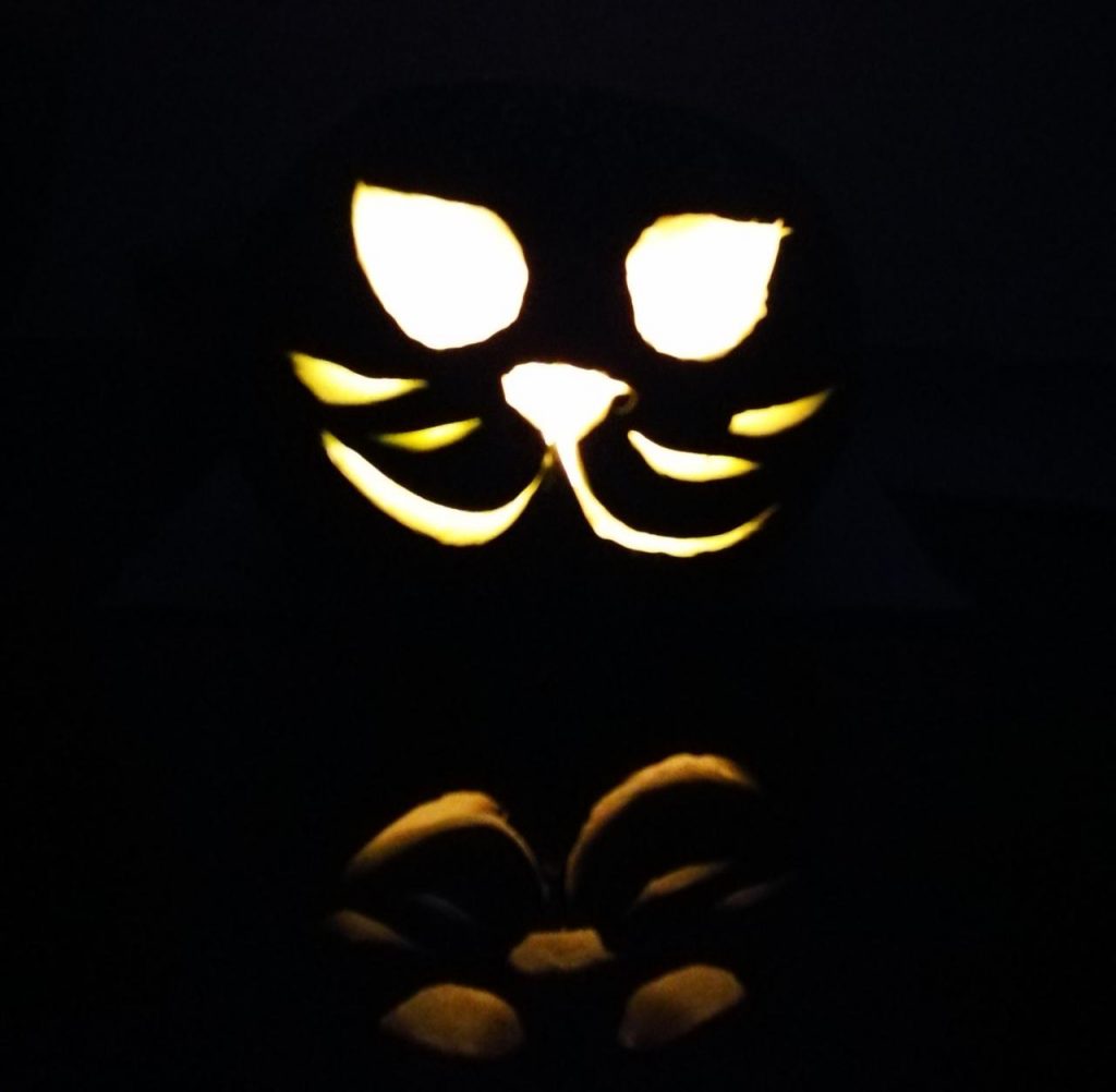 pumpkincat1 1